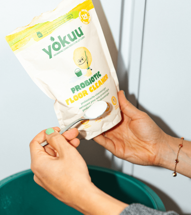 Bodenreiniger (200g)